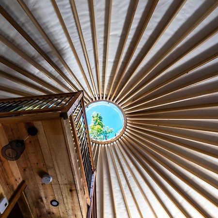 Yourtes Glamping Du Poisson Blanc Notre-Dame-du-Laus Ngoại thất bức ảnh